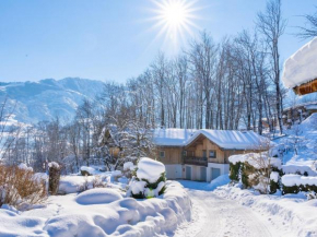 Spacious apartment near the ski area